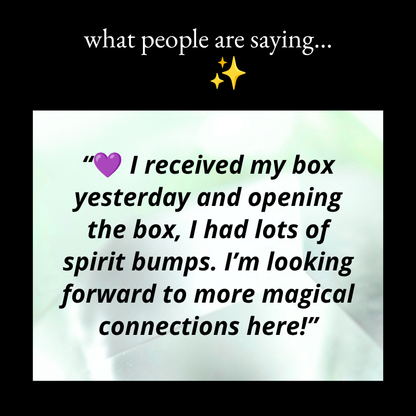 "The Mothership Experience" Launch Kit ADD-ON (No Tarot or CD)