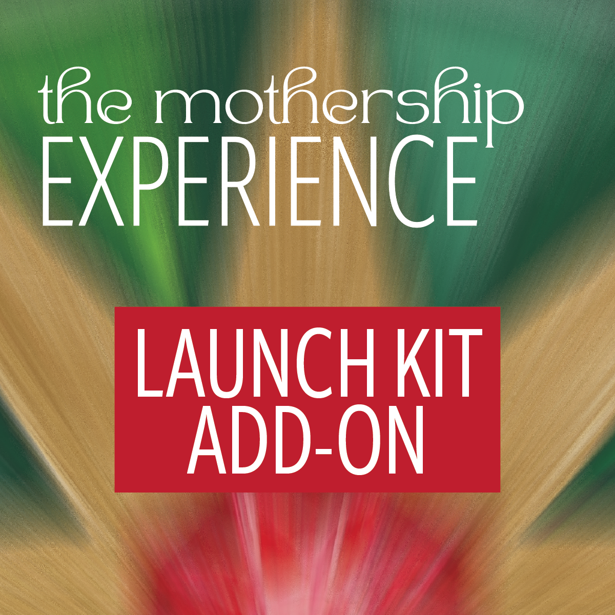 "The Mothership Experience" Launch Kit ADD-ON (No Tarot or CD)